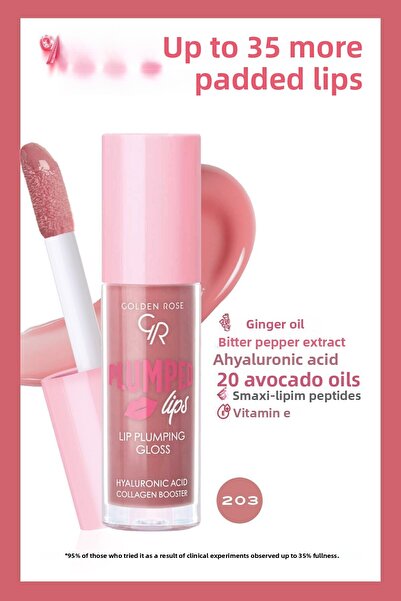 Golden Rose ملمع شفاه منتفخ 203 لتكبير وترطيب الشفاه 4.7 مل