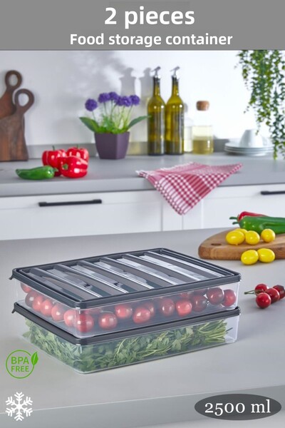 Livonelli 2 قطعة حاوية تخزين للثلاجة والميكروويف سعة 2.5 لتر - منظم الثلاجة T...