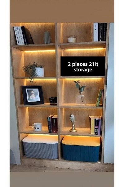 Bayev 2 Pieces of 21 Lt Storage, 1 Piece of Green and 1 Piece of Gray Multi-Purpose Cabinet Organizer Box