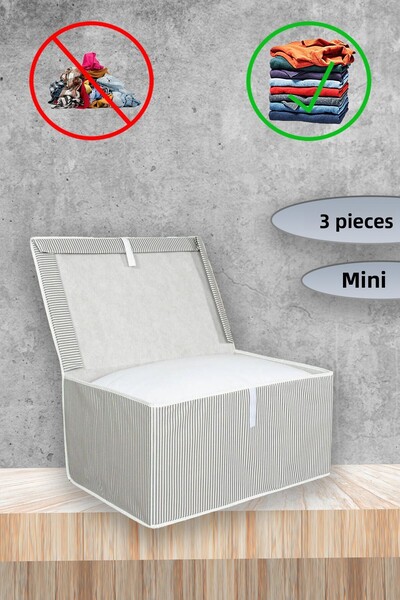 ADARYA HOME Κουτί 3 τεμαχίων με καπάκι 40x30x25 Μίνι μέγεθος