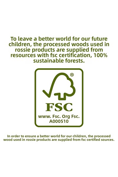 Rossie Wooden Rope Threading Hand Skill Game - Series 2