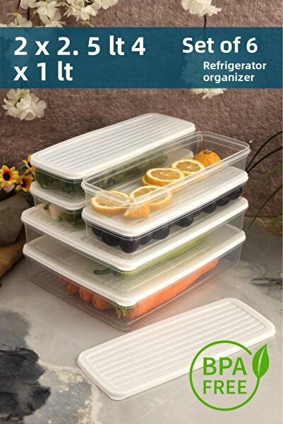 Leila 6 Pcs Storage Container with Lid, Suitable for Refrigerator Organizer Microwave and Freeze 9Lt