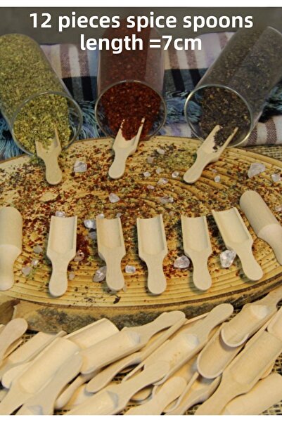 Hilamingo Home 12 Pieces of Bamboo Spices, Baby Food Spoons (7 cm)