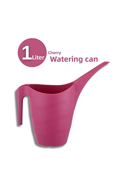 uzaktangelir Recipient de udare pentru flori de calitate la preț accesibil de 1 lt. Orhidee de cactus din plastic de calitate și udarea florilor - Plant Home