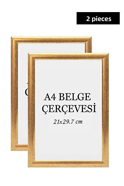 ÖZCANLAR ÇERÇEVE Set of 2 A4 21x29.7 Diploma Frame Document Frames Certificate Frame