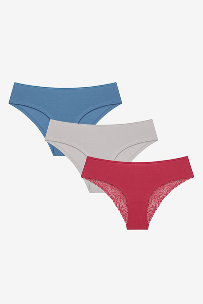 Penti Wild Flower Lacy Detailed 3-Piece Multicolored Hipster Panties