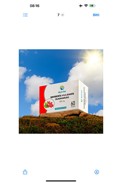 Nutries Berberis Vulgaris 60 Kapsül