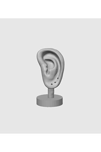 Minikbahcem Ear Shaped Earring Stand – Minimalist Ear Model Stand