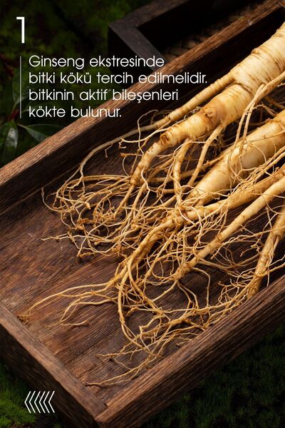 Erbatab Kırmızı Kore Ginsengi Ekstresi 30 Kapsül