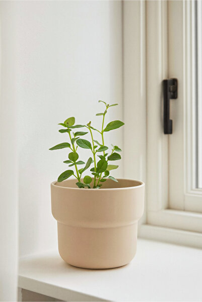 HOMİNG Homing Plastik Saksı Krem 11 cm SEH-4619