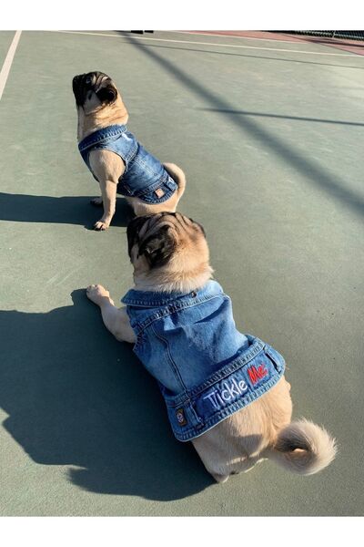 salya store Dog Denim Vest, Tickle Me; Dog Outfit, Dog Clothes