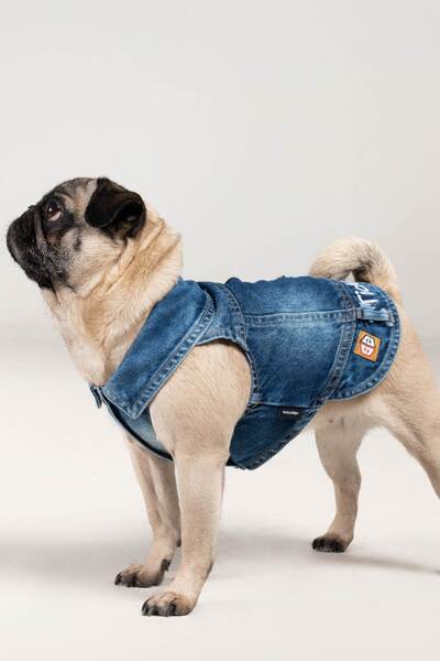 salya store Dog Denim Vest, Tickle Me; Dog Outfit, Dog Clothes