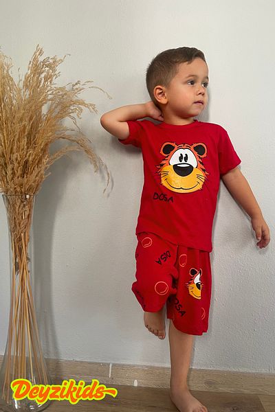 Deyzikids Printed T-Shirt Kids Girls and Boys Tracksuit Set Cute and Cool Casual T-Shirt and Bottom Top 2-5 Years