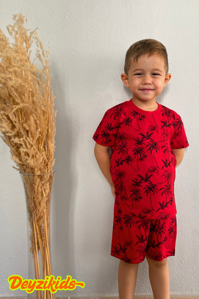 Deyzikids Printed T-Shirt Kids Girls and Boys Tracksuit Set Cute and Cool Casual T-Shirt and Bottom Top 2-5 Years
