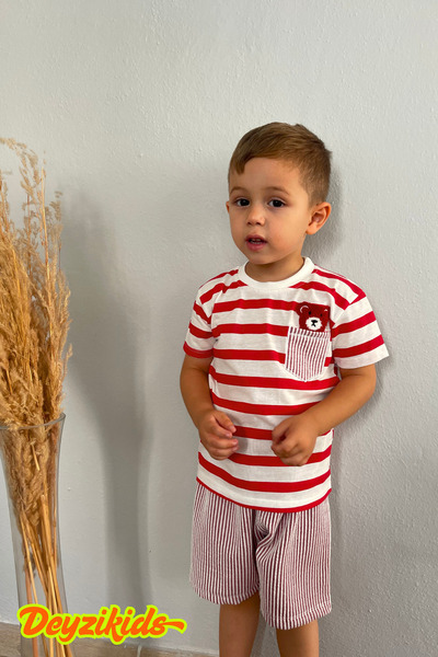 Deyzikids Printed T-Shirt Kids Girls and Boys Tracksuit Set Cute and Cool Casual T-Shirt and Bottom Top 2-5 Years