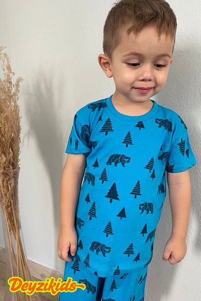 Deyzikids Printed T-Shirt Kids Girls and Boys Tracksuit Set Cute and Cool Casual T-Shirt and Bottom Top 2-5 Years