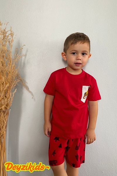 Deyzikids Printed T-Shirt Kids Girls and Boys Tracksuit Set Cute and Cool Casual T-Shirt and Bottom Top 2-5 Years