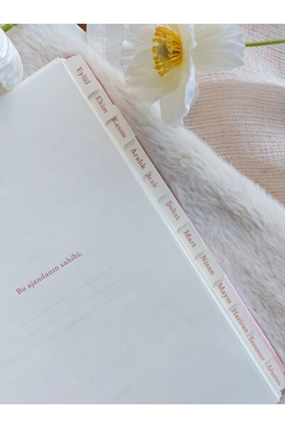 Nova Crafts Fairy Tale Pink Academic Agenda 2025-2026 Planner Timeless Agenda