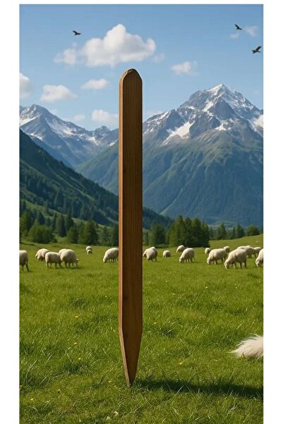 pinoxi Ahşap Bahçe Çit Kazığı,2 Adet Büyük Boy Kazık Dikme 2 Adet