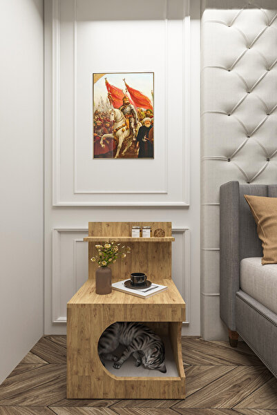 BlackSea Kedi Evi Komodin,Pet Komodin,Yıkanabilir Minderli,Portatif Minifix K...