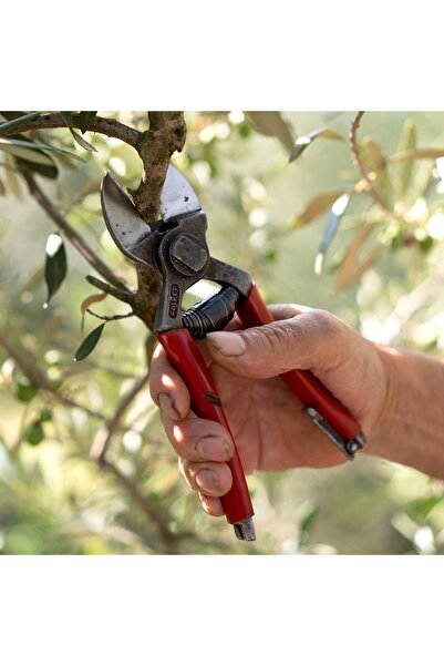 FALKE Falket 2000 Çift Ağızlı Budama Makası 21cm