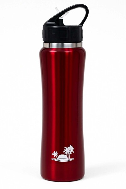 Generic زجاجة رياضية من الفولاذ المقاوم للصدأ مع قشة وغطاء محكم، تحافظ على ال...