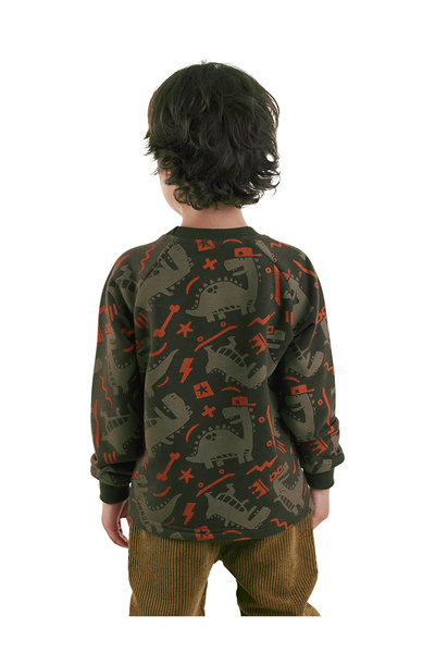 Denokids Skateboard Dino Boy Brown Sweatshirt