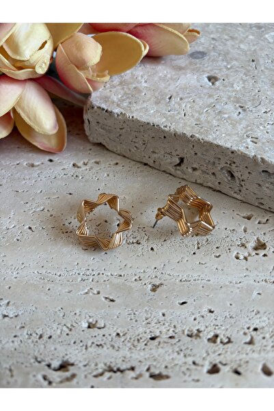 Atelier Pelin Steel Star Earrings
