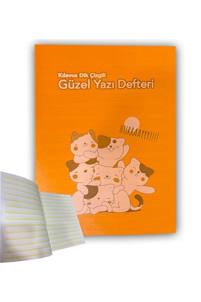FLY COLOR Guideline Ruled Beauty Writing Notebook A4 New Curriculum 40 Sheets Plastic Cover