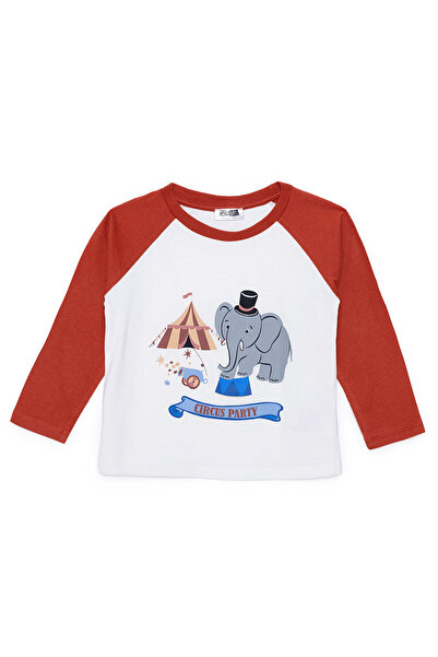 ebebek Hello Baby HelloBaby Erkek Bebek Circus Uzun Kol Tshirt Bisiklet Yaka ...