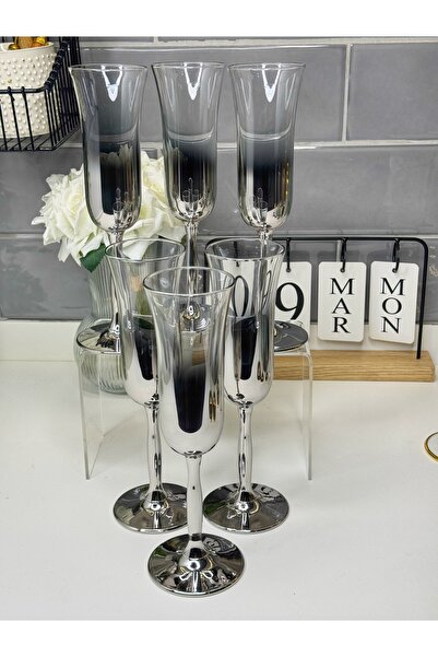 dunyazuccaciye 6 Kişilik Tasarım Gümüş Kahve Yanı Su Bardağı