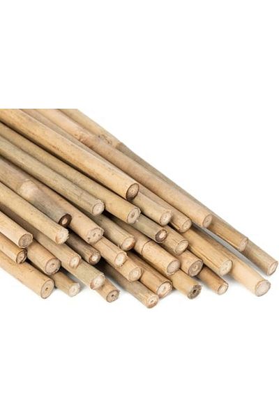 genric FFD Natural Bamboo Plant Stakes – 10pcs 100cm Garden Support Sticks for Indoor & Outdoor Plant