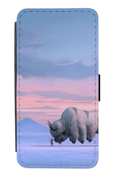 Atlas Husa personalizata tip carte Apple iPhone 12, Avatar The Last Airbender #6, multicolor, S2D1M377