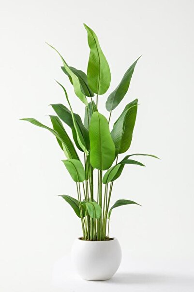 Güleç Yapay Çiçek Yapay Starliçe Ağacı 160 Cm Küre Plastik Saksı