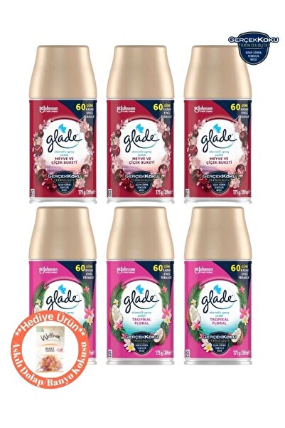 Glade Oda Kokusu, Otomatik Sprey Yedek 6'lı Promosyon Paketi 6X269ml