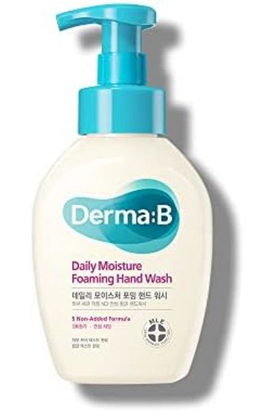 Derma B Daily Moisture Foaming Hand Wash, Moisturizing Foaming Hand Soap, Scented Hand Soap, Paraben