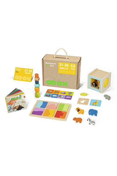 Fab N Funky Learning Educational Wooden Toys Set, 30 Months To 3 Years, Multicolor - 53 Pieces