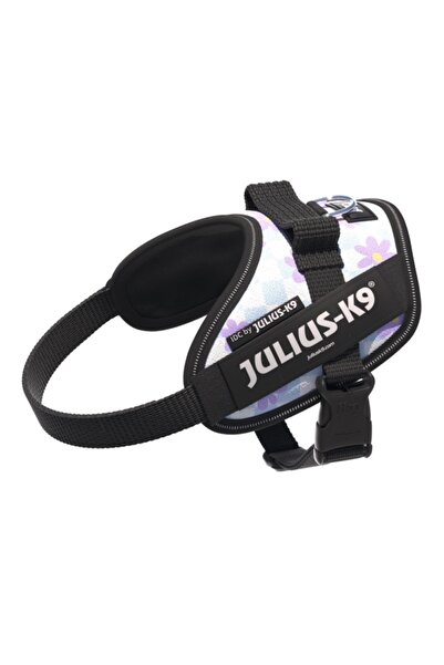 Julius K9 Ham JK 9 IDC Power - XS - Cartoon