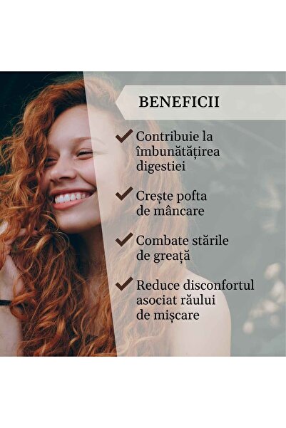 Faunus Plant Ginger Syrup, 500ML, Faunus Plant