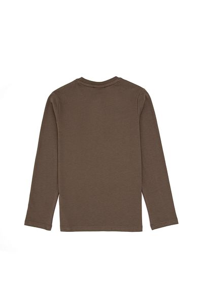 U.S. Polo Assn. Boy's Mink Sweatshirt 50314909-Vr052