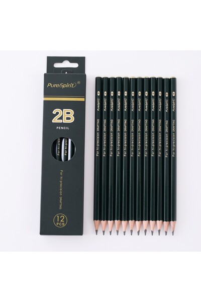 Choice PS-7125 2B 12 قطعة 12 قطعة 2B أقلام رصاص جرافيت احترافية للرسم قلم رصا...