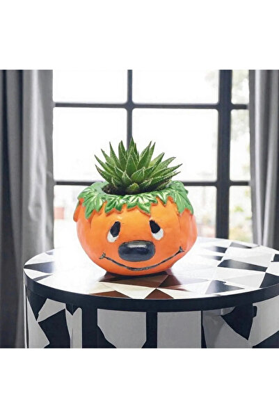 Hediyelik Çiçekler Gülen Kabak Saksı