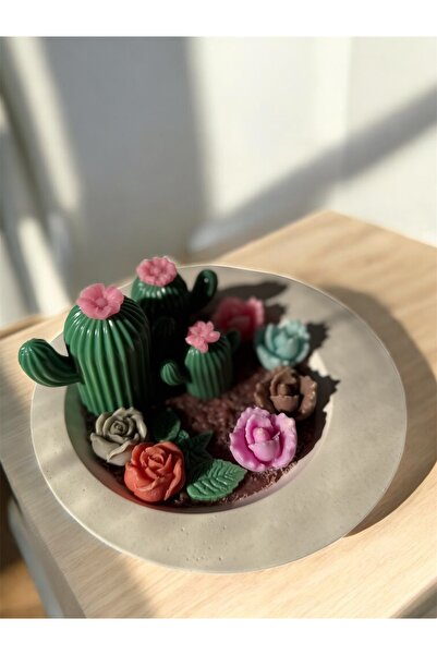 rudemcandle Taştozu şekilli büyük boy saksıda kaktüs bahçesi dekoratif hediye...
