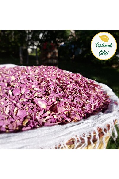 Diplomaliciftci Kurutulmuş Isparta Gül Yaprağı - Gül Çayı (50gr)