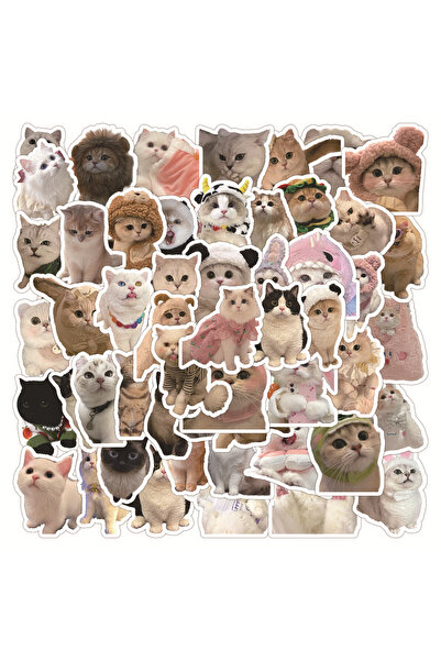 Choice 60 قطعة من ملصقات جرافيتي القطط الواقعية اللطيفة على شكل قطة، حافظة ها...
