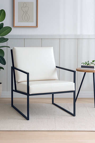 WATERYBROOK Tekli Koltuk, İskandinav Berjer, Balkon, Bahçe, Ofis Çay Seti, Deri Kumaş, Metal İskelet