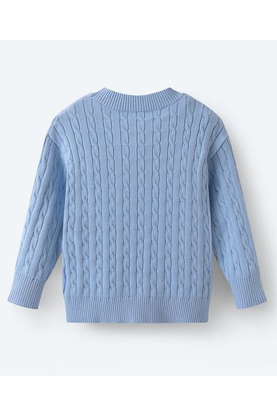 SAPS Full Sleeves Pullover - Blue