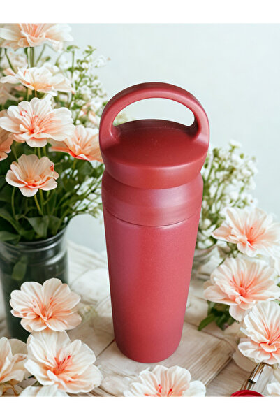 Blissra Steel Thermos with Filter– Stainless Steel, Vacuum-Sealed Lid, Hot Cold Tea and Detox Flask