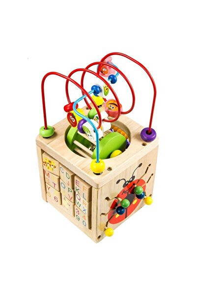 Picodino Montessori educational cube 6 in 1