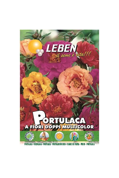 Leben Portulaca (Portulaca A Fiori Doppi Multicolor) Premium Quality Seeds Made in Italy